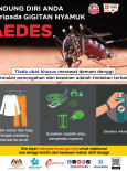Aedes: Lindung diri anda daripada gigitan nyamuk Aedes